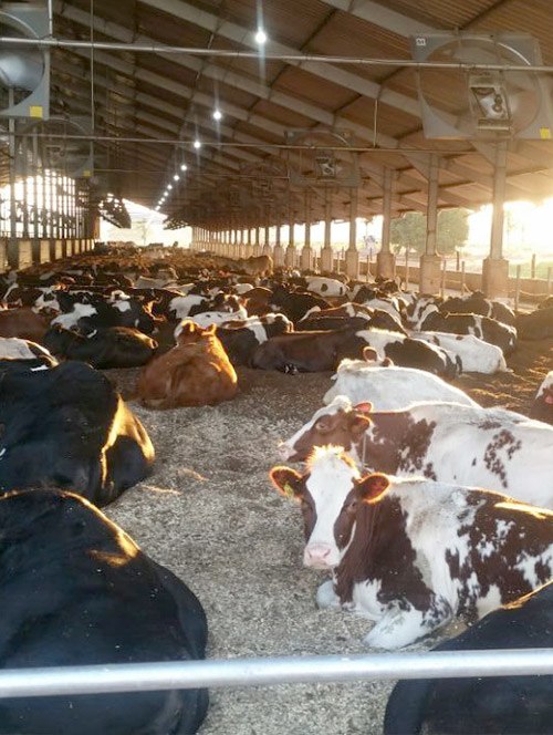 Compost Barn